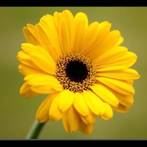 Meet your Posher, Gaby